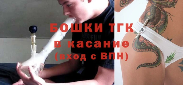молекула духа Абинск