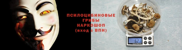 ГАЛЛЮЦИНОГЕННЫЕ ГРИБЫ Покровск