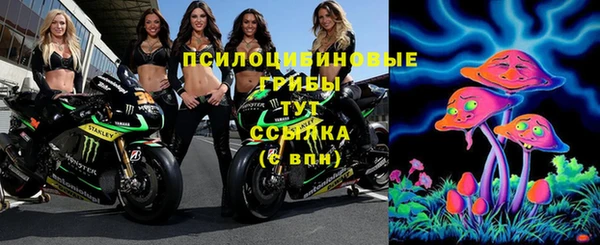 тгк Абаза