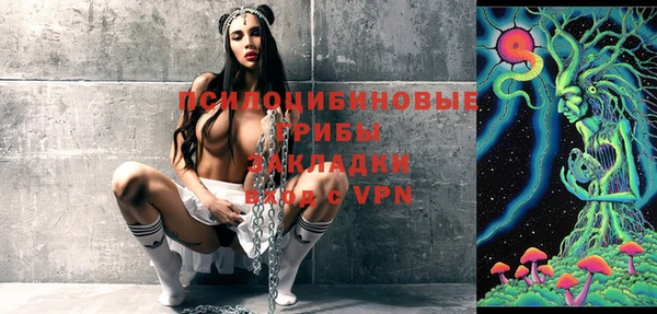 тгк Абаза
