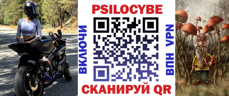 блэк спрут ССЫЛКА  Чегем  Галлюциногенные грибы Cubensis 